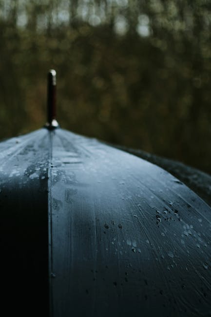 tip bóng đá free → Tip bóng đá miễn phí hôm nay – Tỷ lệ chính xác đến 90%