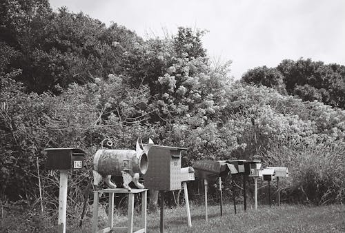 Vintage Mailboxes on the Background of a Bush 
