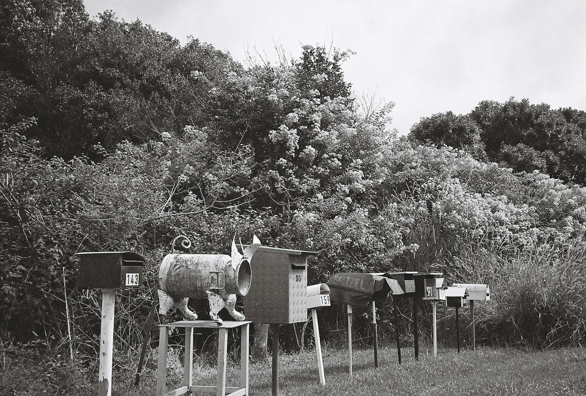 A row of unique, rural mailboxes set against a lush bush background in rural Australia.