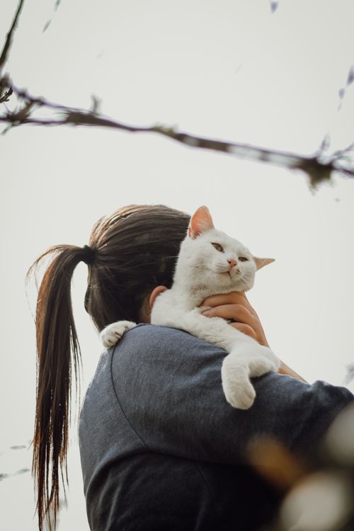 Free A woman lovingly hugs a white cat while outside, capturing a serene moment of companionship. Stock Photo