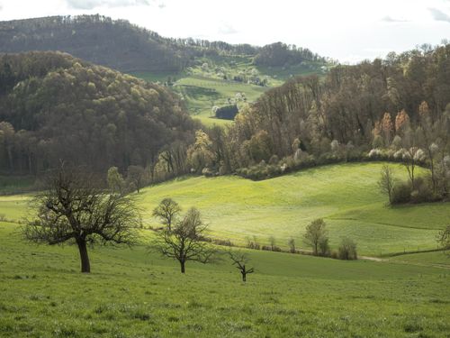 Free Beautiful green rolling hills and meadow under a clear sky, perfect natural scenery. Stock Photo