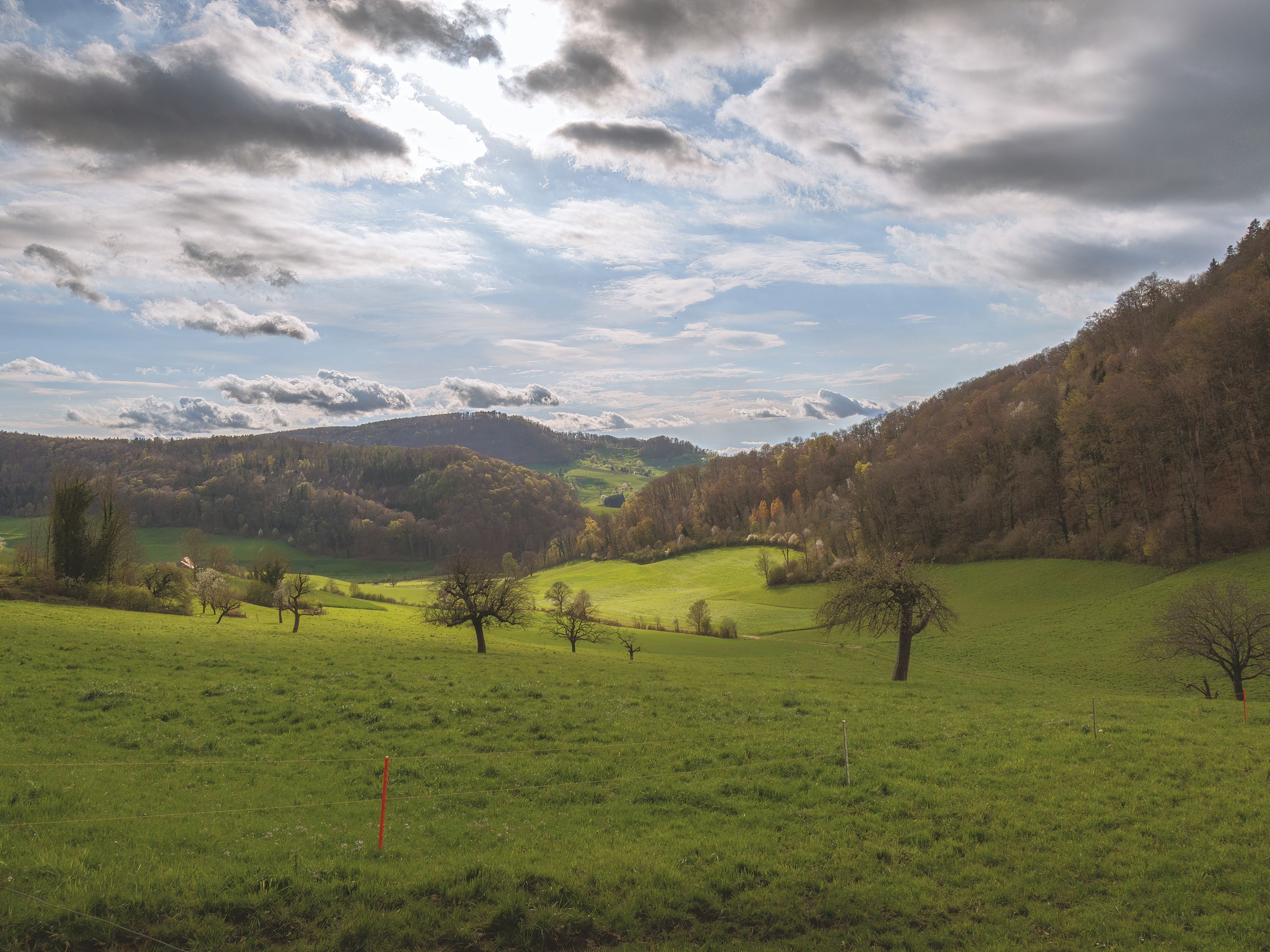 Sanfte grüne Hügellandschaft unter bewölktem Himmel