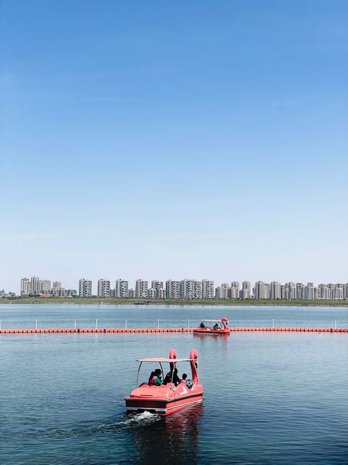Free Swan-shaped pedal boats glide on a serene city lake under a blue sky, offering recreation and relaxation. Stock Photo