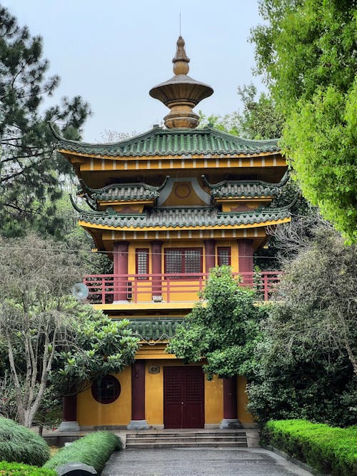 Trees around Buddhist Temple