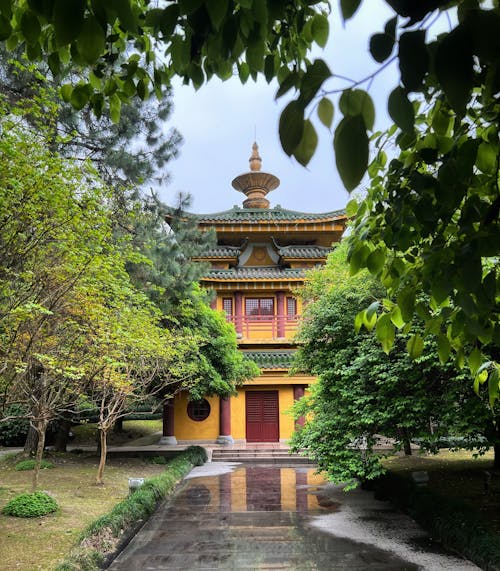 Buddhist Temple among Trees