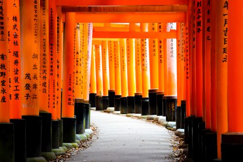Free A pathway through the iconic orange torii gates of Fushimi Inari Shrine in Kyoto, Japan. Stock Photo