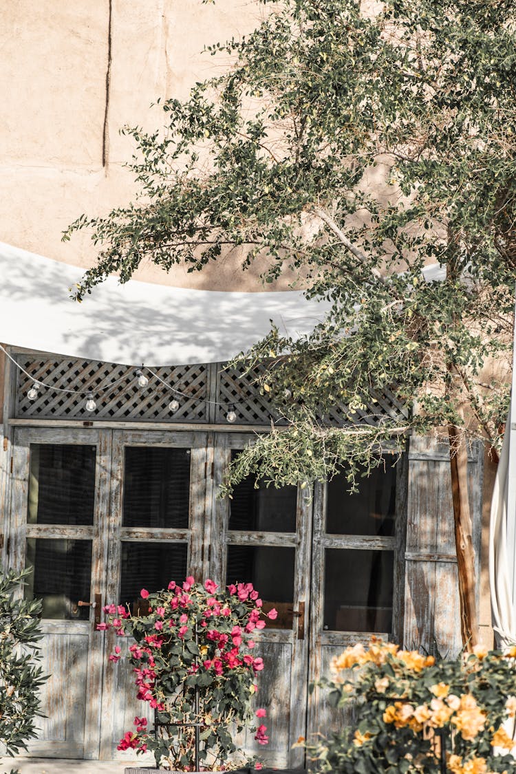 Tree And Flowers Near Building Doors