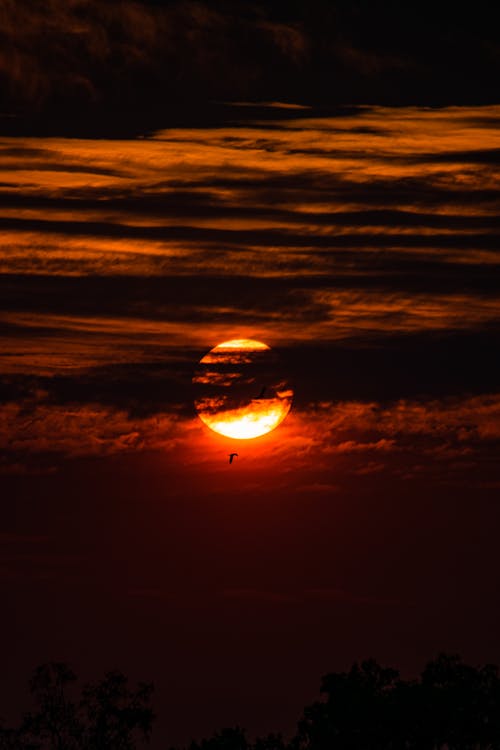 Immagine gratuita di cielo rosso, crepuscolo, eclissi