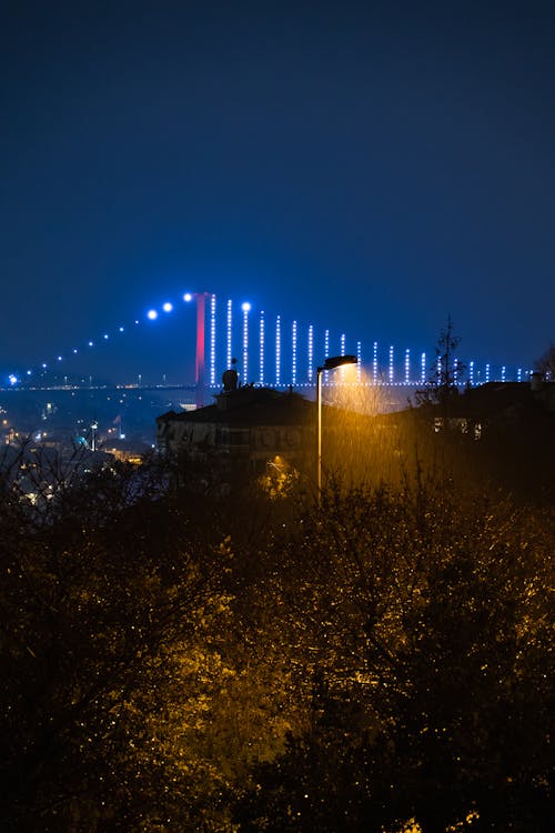 Illuminated Bridge and Streetlight