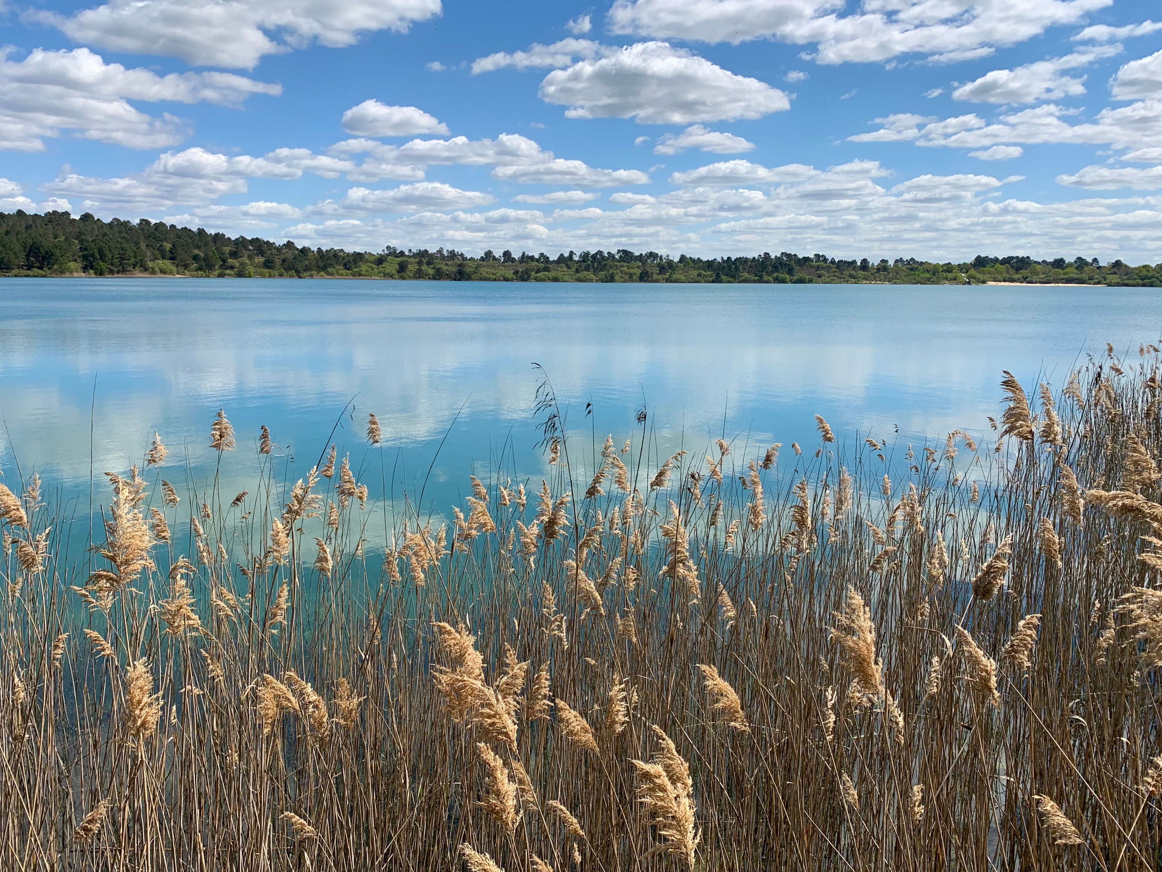 Lacs des Landes
