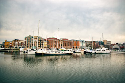 Foto d'estoc gratuïta de amarrat, barques, ciutat