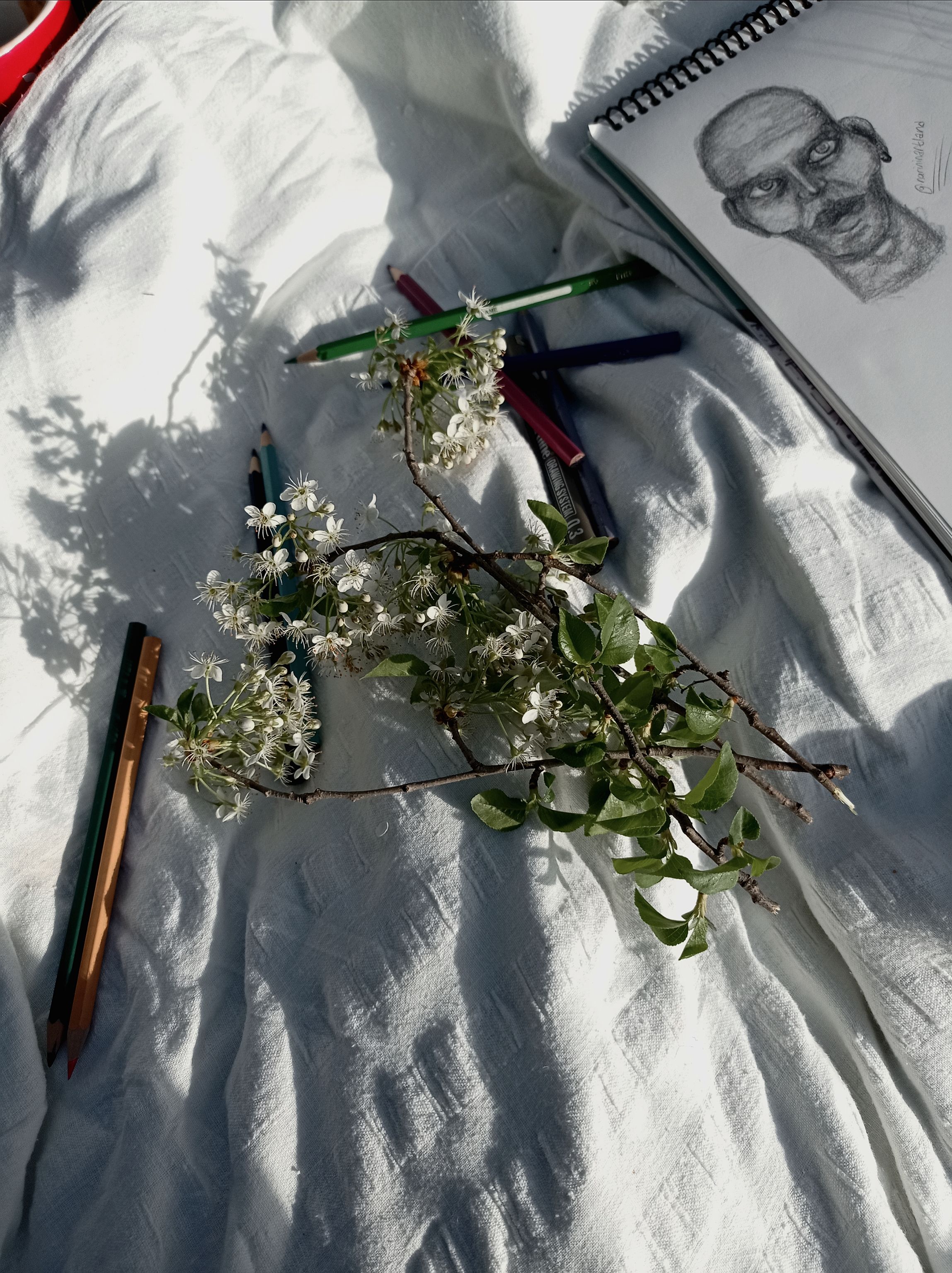 A flat lay featuring a drawing, colored pencils, and floral branches on a soft blanket.