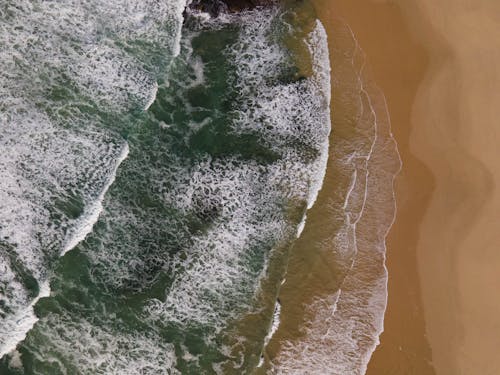 Sea and Beach