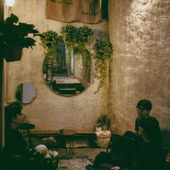 Three friends enjoying a cozy, urban cafe setting with greenery and soft lighting.