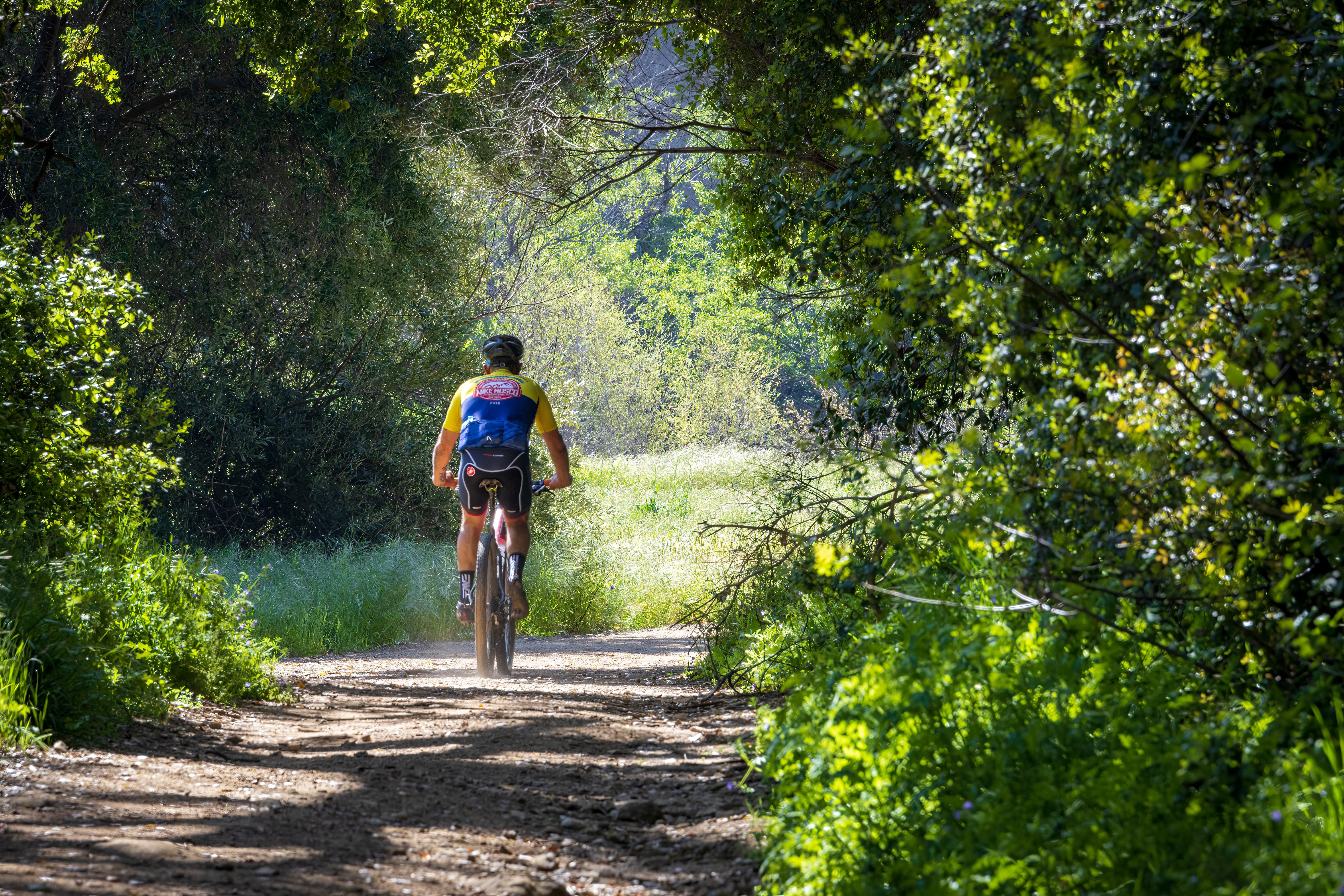 Photo of a Man Riding a Bicycle in the Forest · Free Stock Photo
