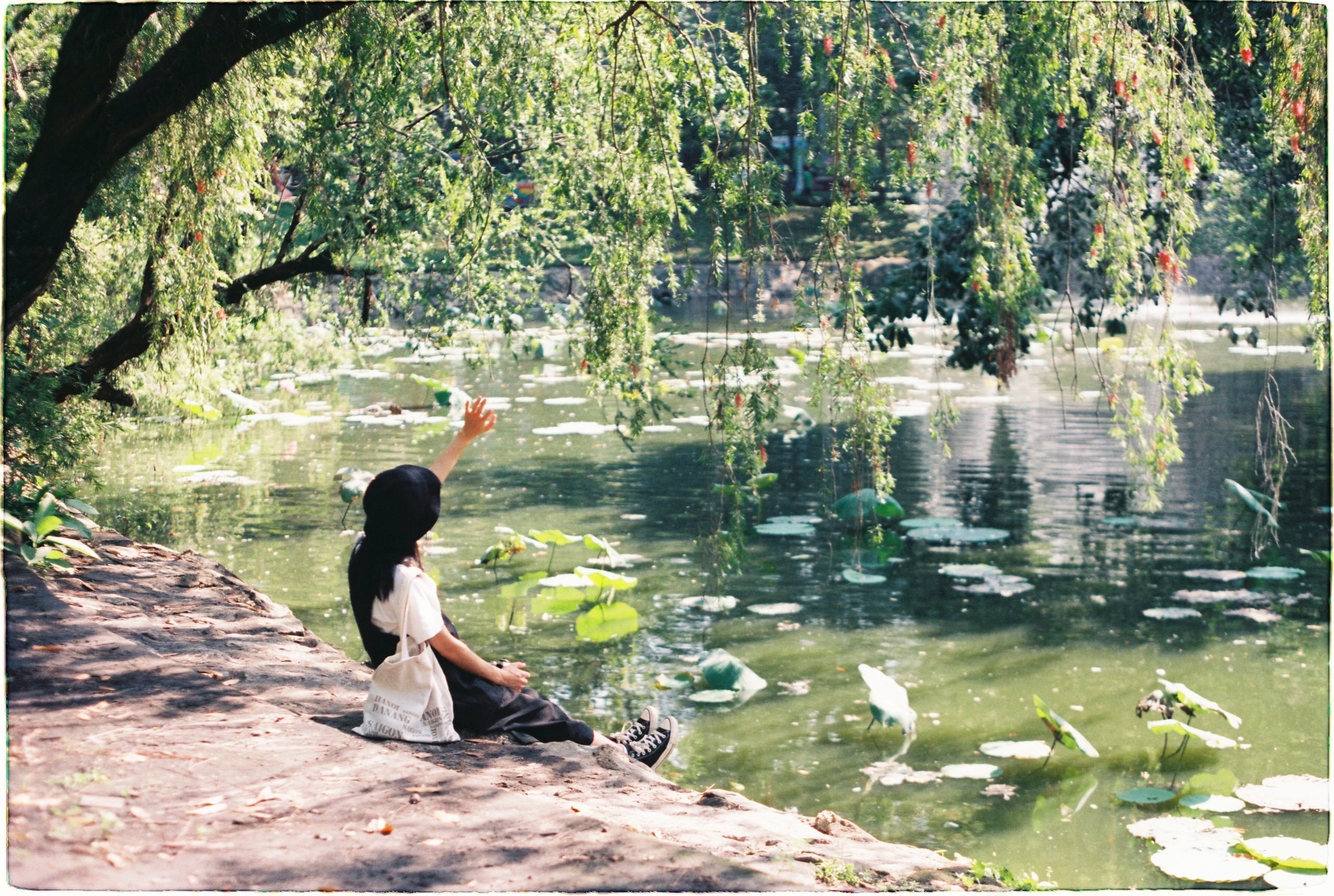 A woman sitting by a sunlit pond with raised hand, surrounded by lush trees and greenery.
