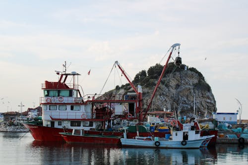 Photos gratuites de bateau de pêche, bateaux, côte