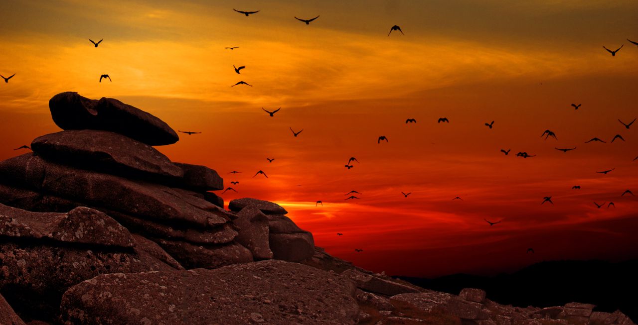 silhouetted birds flying over rocky formation during a vibrant sunset