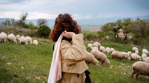 Free A woman in a trench coat watches a herd of sheep grazing in a scenic countryside field. Stock Photo