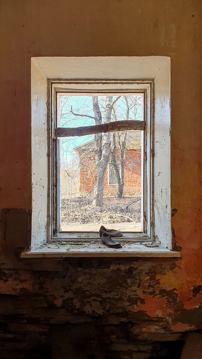 Plants Growing Out f an Abandoned Building Window · Free Stock Photo
