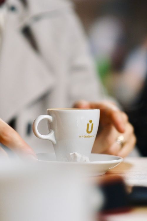 Free Close-up of a woman holding a white coffee cup with a logo, showcasing a cozy atmosphere. Stock Photo