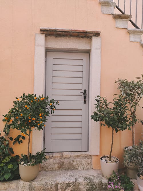 View of a Doorway with Little Trees in Pots Standing by the Wall 