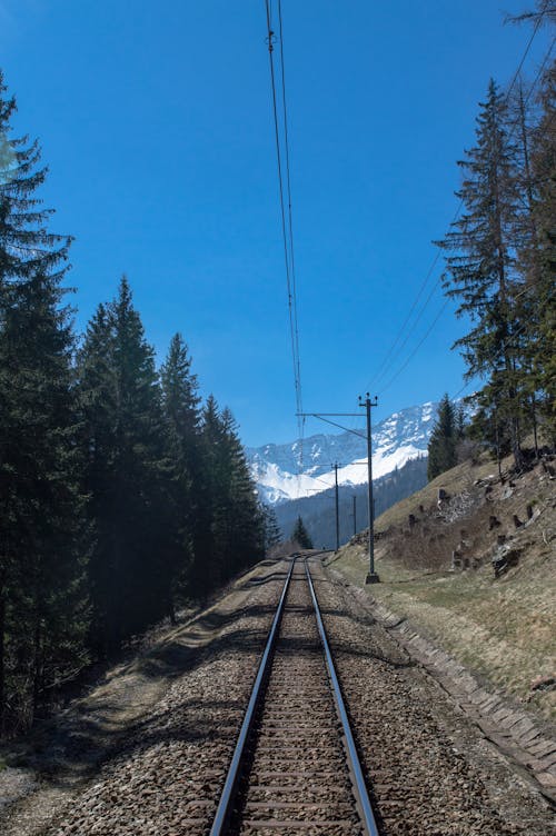 View of a Railway between Trees and Snowcapped Mountains in Distance 
