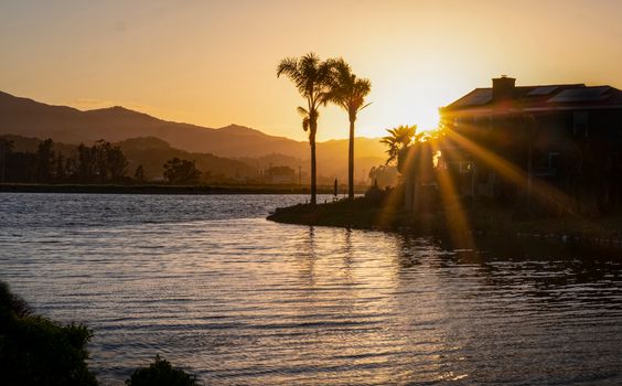 Captivating sunset over hills and river with palm tree silhouettes.