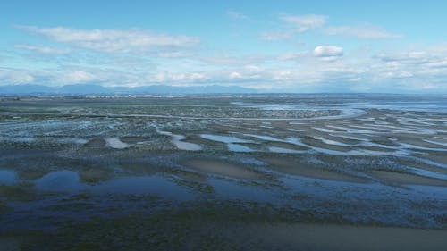 Gratis stockfoto met eb, kustlijn, landschap