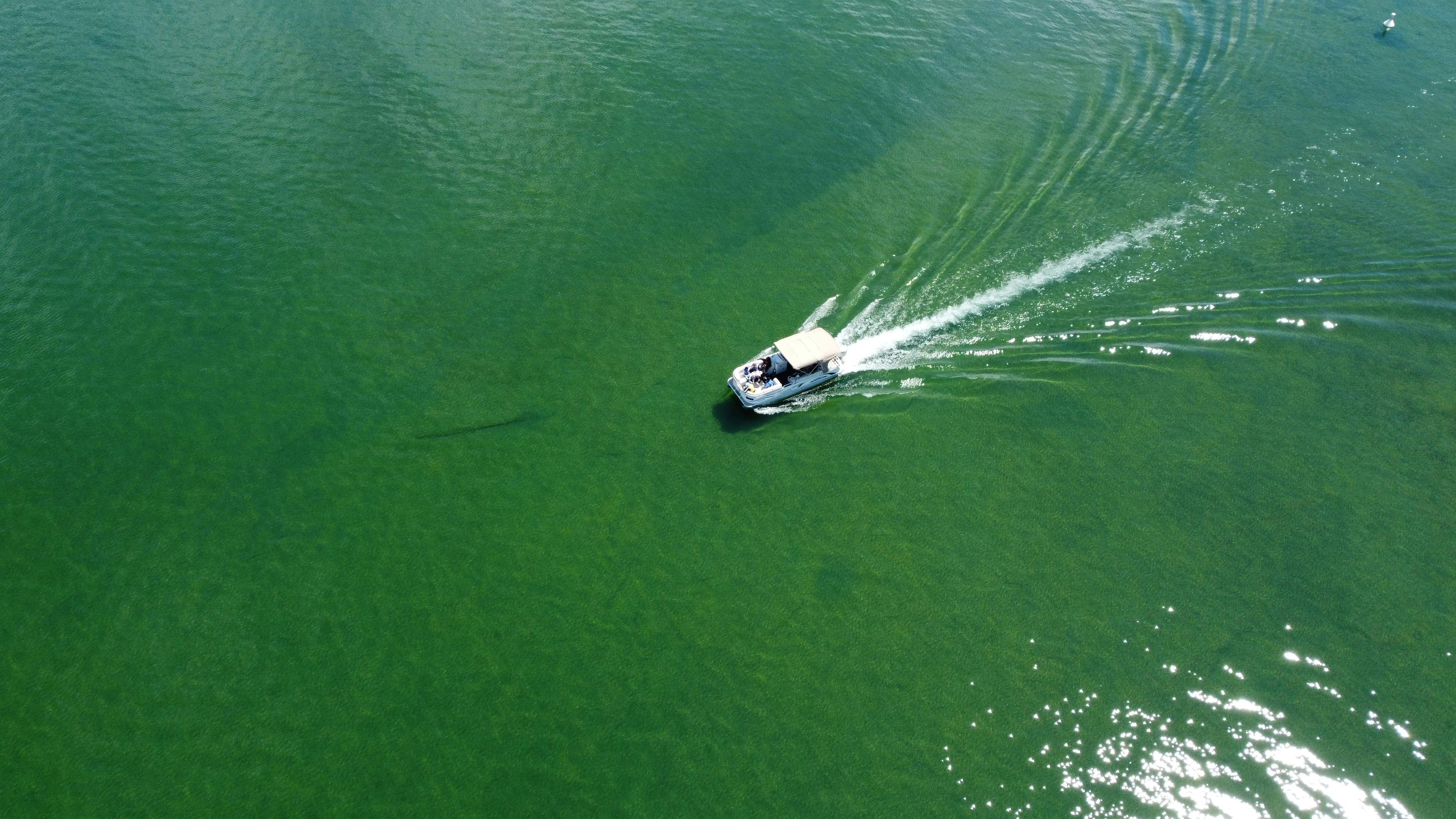 Motorboat on open water free stock photo