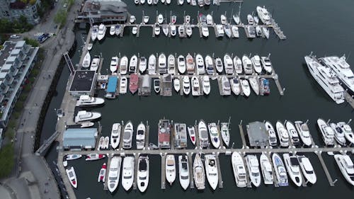 Motorboats Moored in Marina