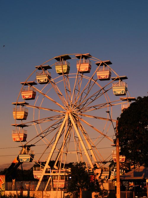 Free A ferris wheel illuminated by golden sunset light at an amusement park. Stock Photo