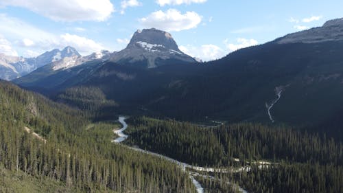 Aerial View of the River in the Valley in Yoho National Park, British Columbia, Canada 