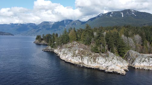 Woods and Cliff Rocks on Seashore