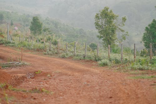 농촌의, 비포장 도로, 산길의 무료 스톡 사진