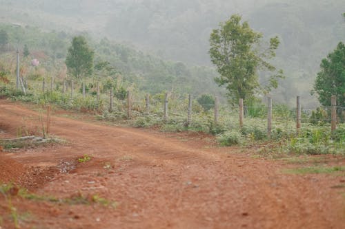 Kostenloses Stock Foto zu außerorts, boden, feldweg