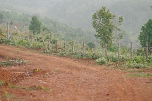 Free A serene dirt road lined with green hills and trees, representing rural tranquility. Stock Photo
