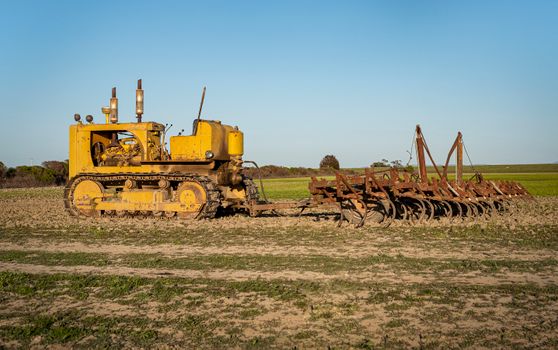 Free stock photo of agriculture, ball-shaped, countryside