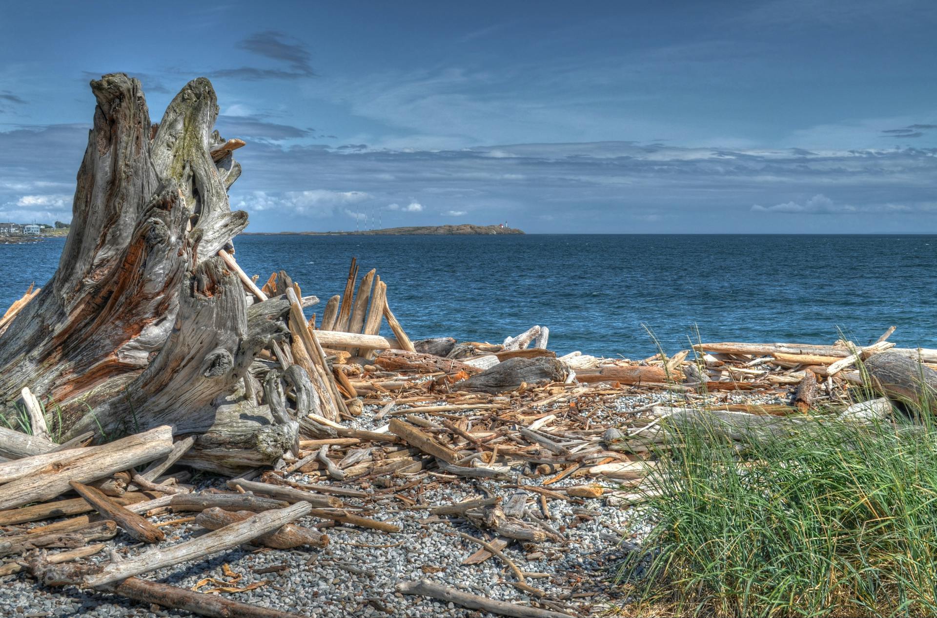 Vibrant coastal landscape featuring driftwood on a pebbled seashore against a blue ocean and sky.