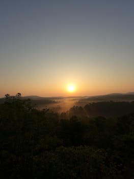 Captivating sunrise over a serene misty forest, capturing nature's beauty in tranquil scenery.