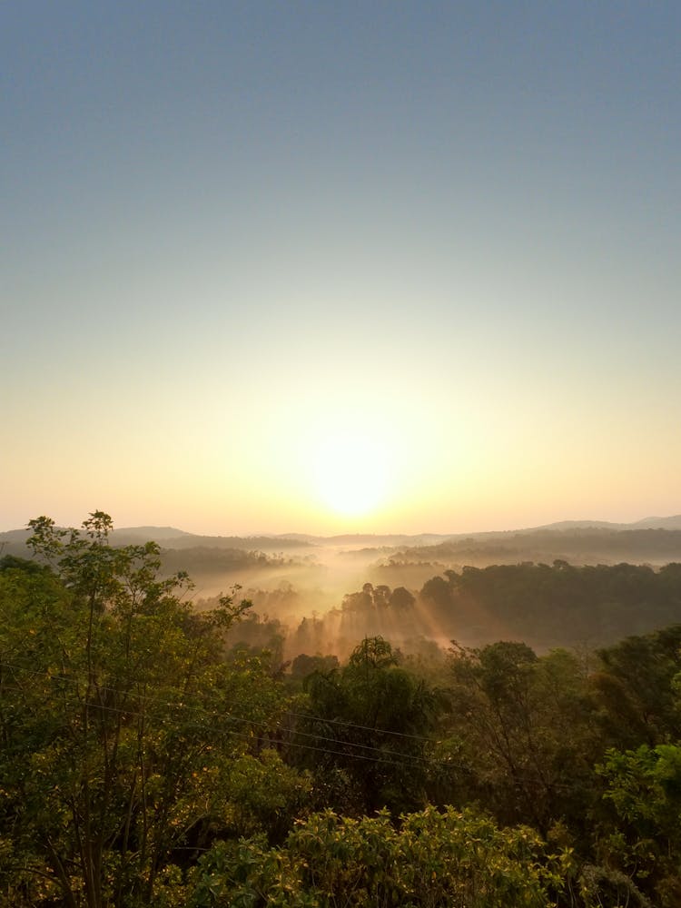 Aerial View Of The Sunset Above The Tree Crowns 