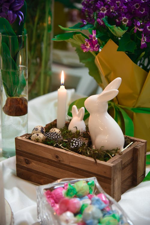 Nowruz Rabbit