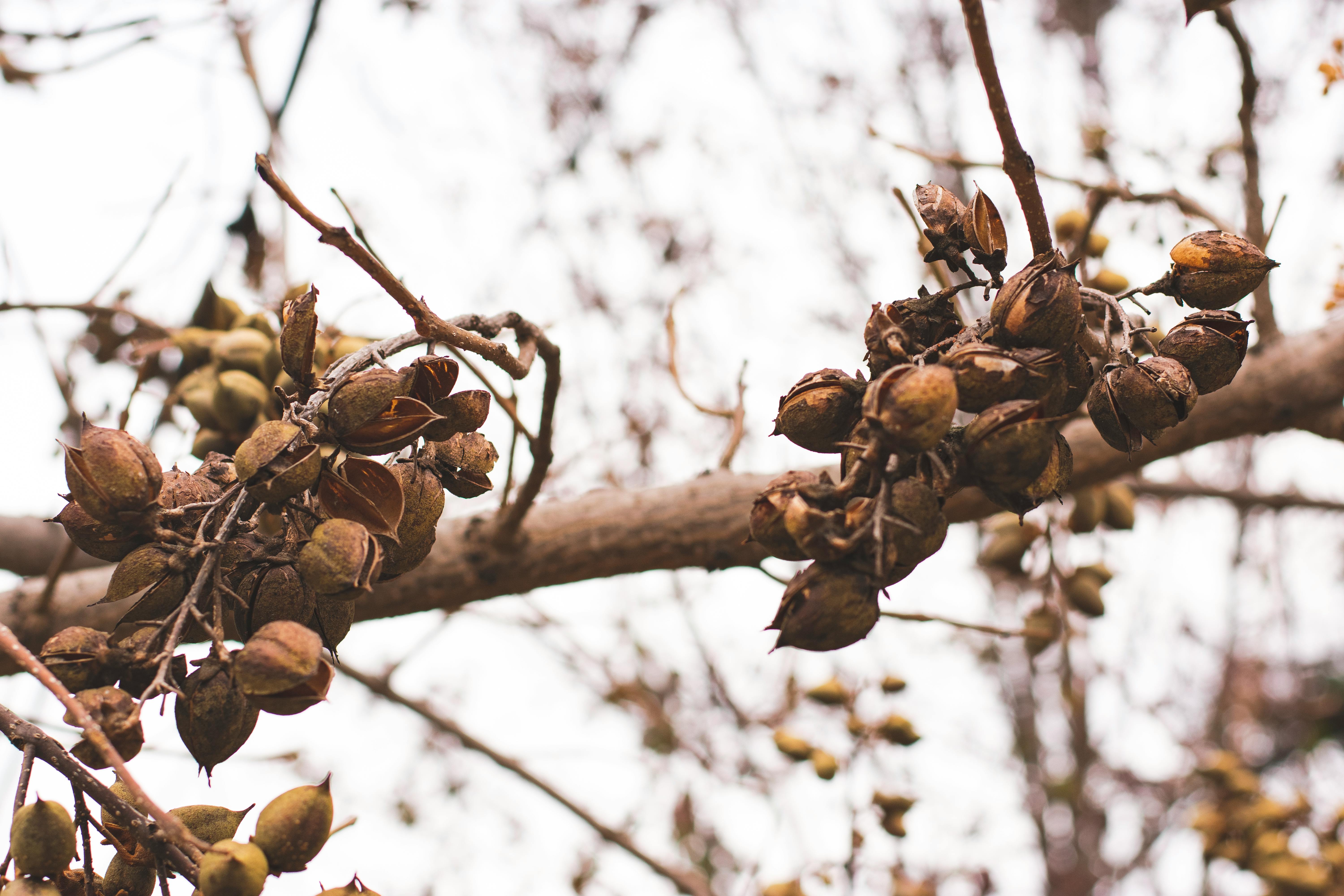 Daily Music Reflections Spotify playlist Jazz in the Big City