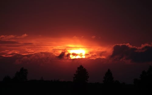 ฟรี คลังภาพถ่ายฟรี ของ ซิลูเอตต์, ดวงอาทิตย์, ต้นไม้ คลังภาพถ่าย
