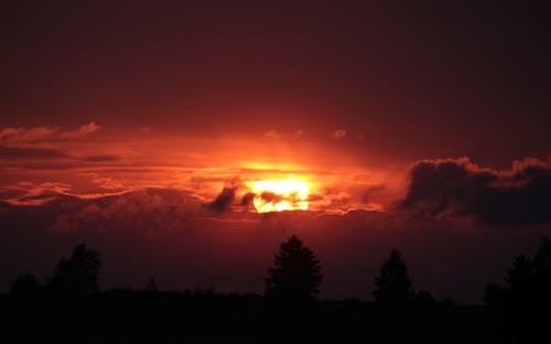 Free Silhouette Photo of a Sky and Trees Stock Photo