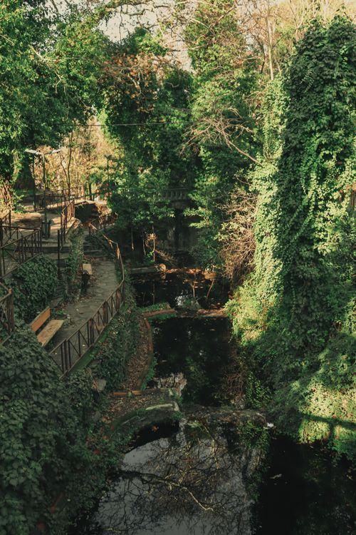 Free Discover the serene beauty of a lush park in Türkiye, featuring a tranquil stream and vibrant foliage. Stock Photo
