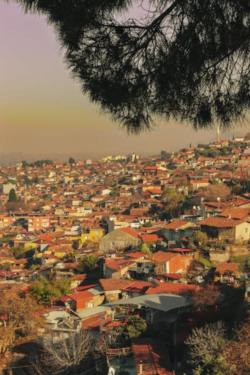 土耳其, 垂直拍摄, 城市 的 免费素材图片
