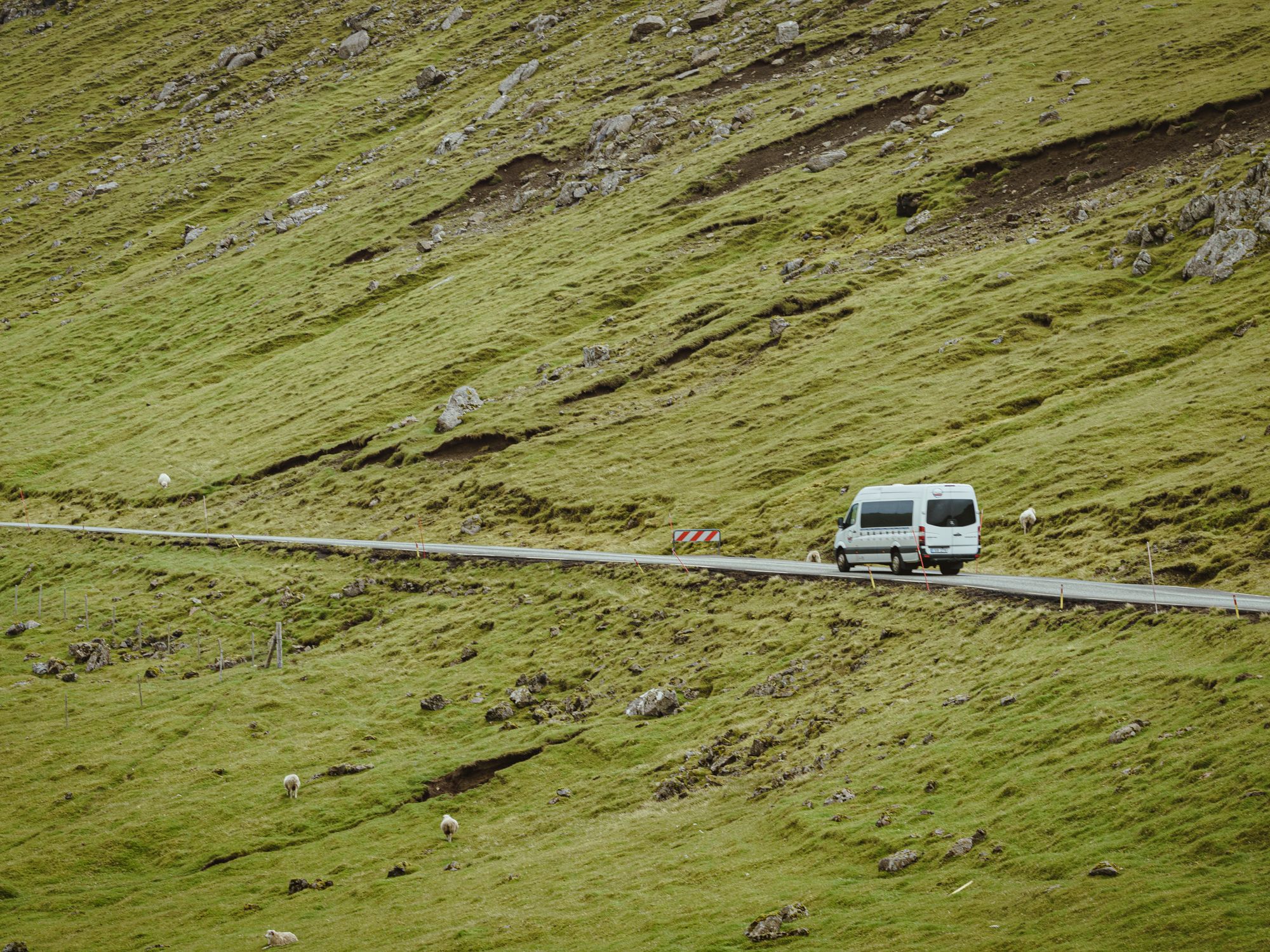 Furniture & Delivery in Forden, Wales — movers delivering furniture from a van