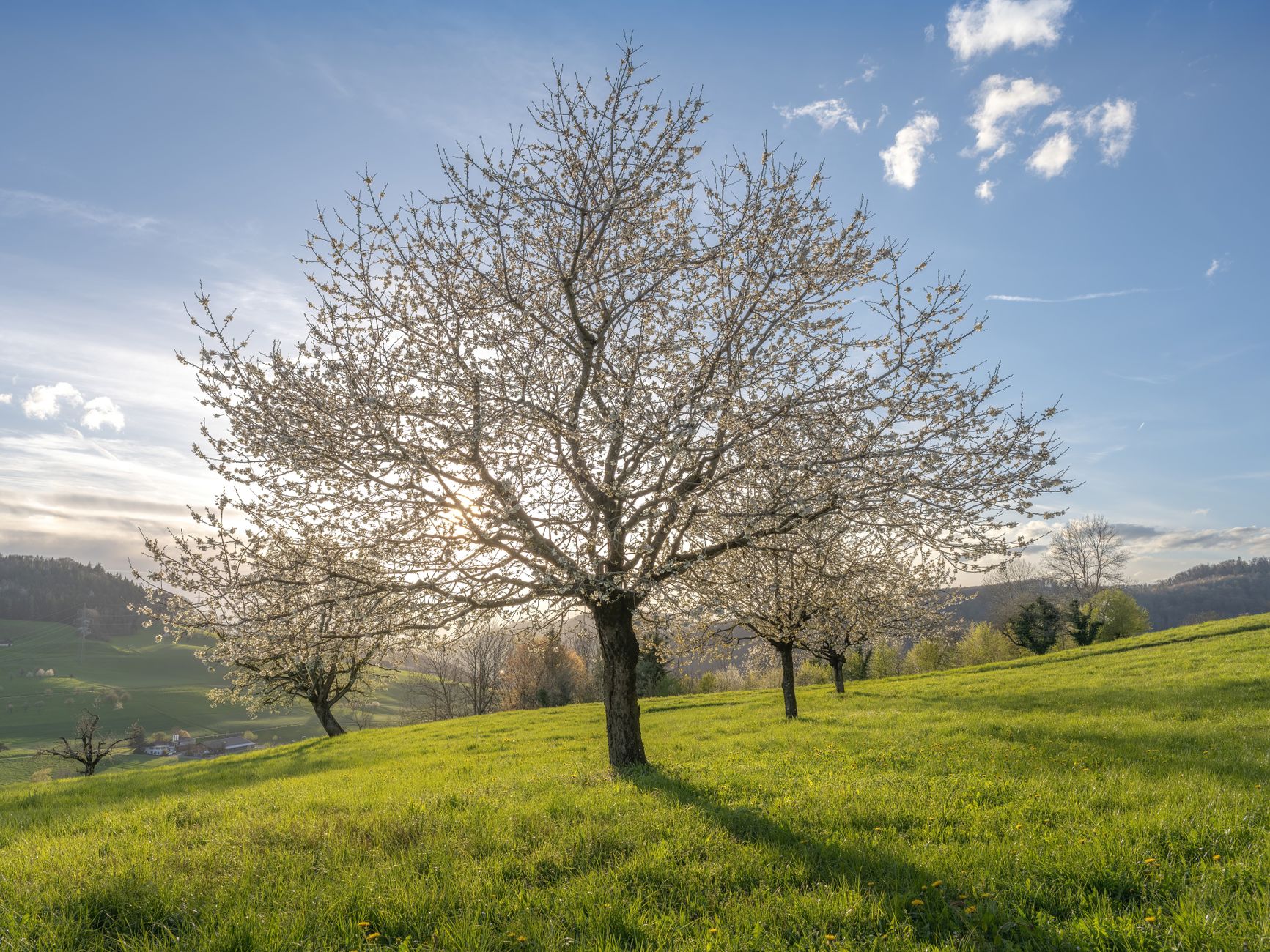Milder Frühlingstag