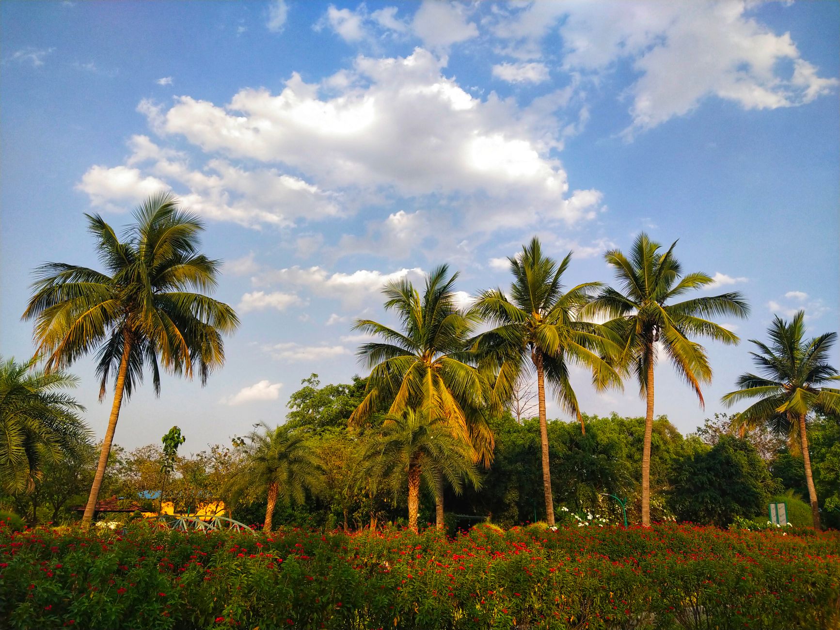 Raipur travel and vehicle rental photo 2
